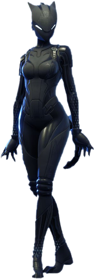 Catwoman Full Body Costume Render PNG Image