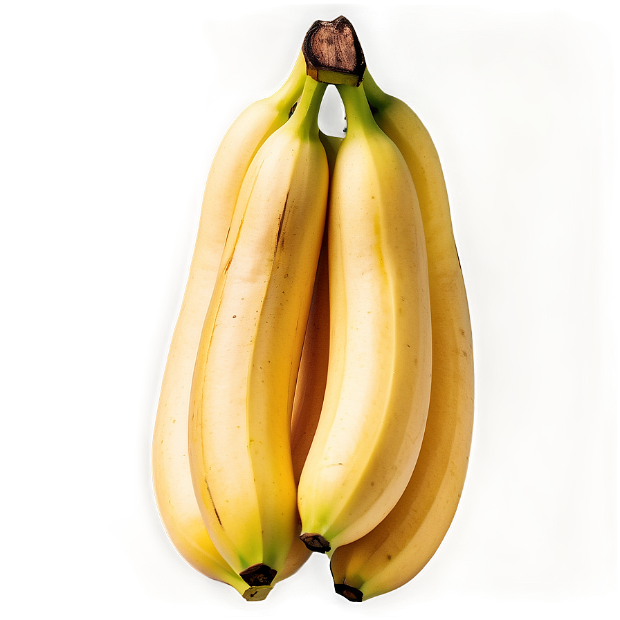 Cavendish Banana Type Png Gwm PNG Image