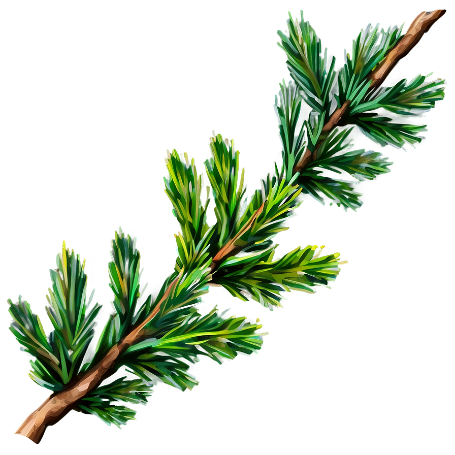 Cedar Tree Branch Png Qoc1 PNG Image