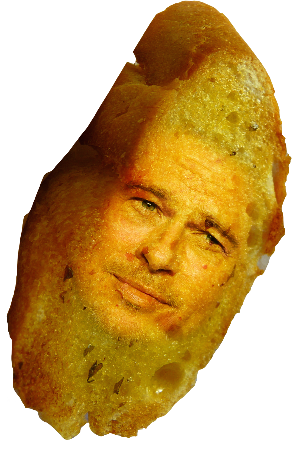 Celebrity Faceon Chip.png PNG Image