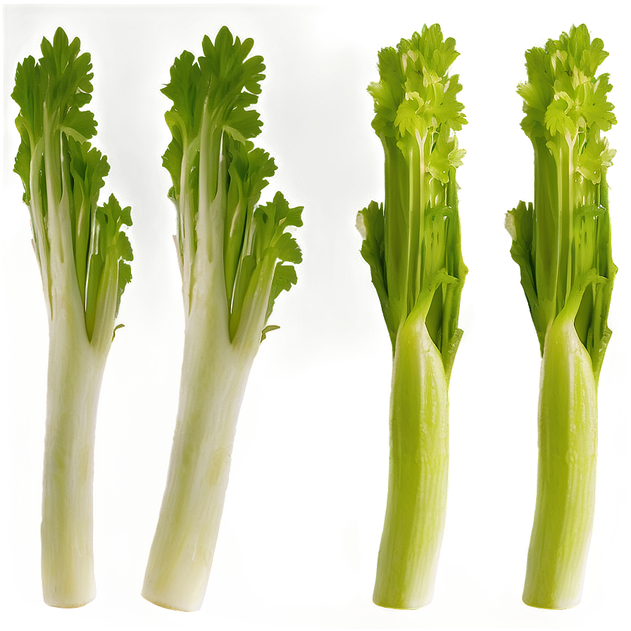 Celery Farm Fresh Png Ssc80 PNG Image