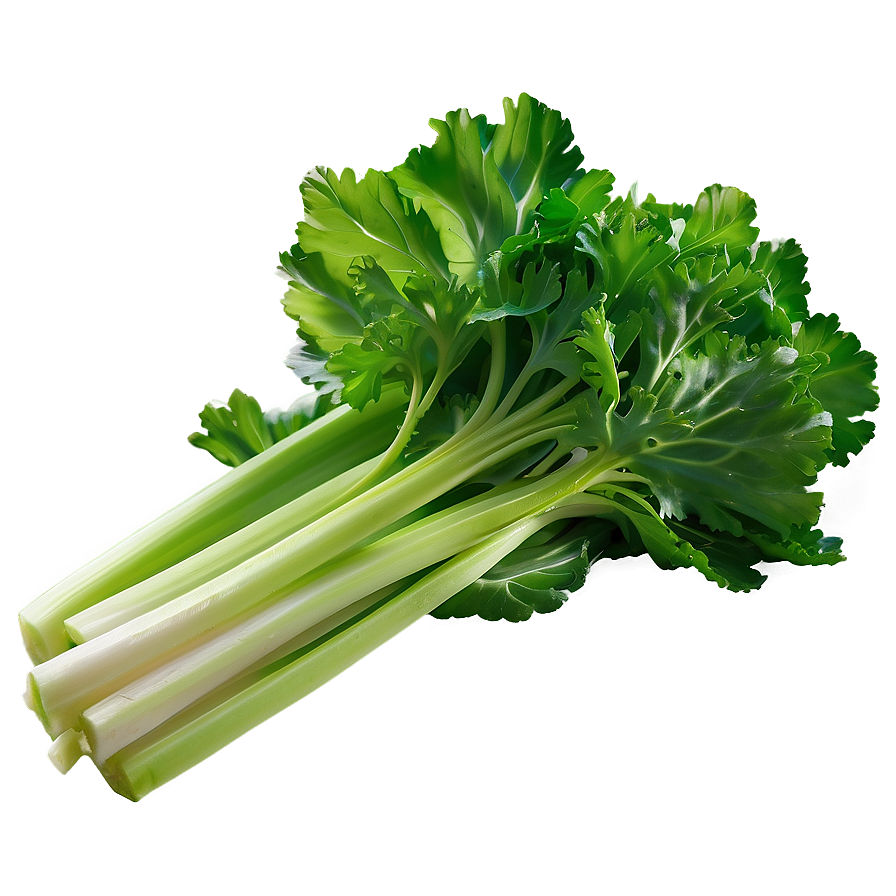 Celery Farm Fresh Png Wxq75 PNG Image