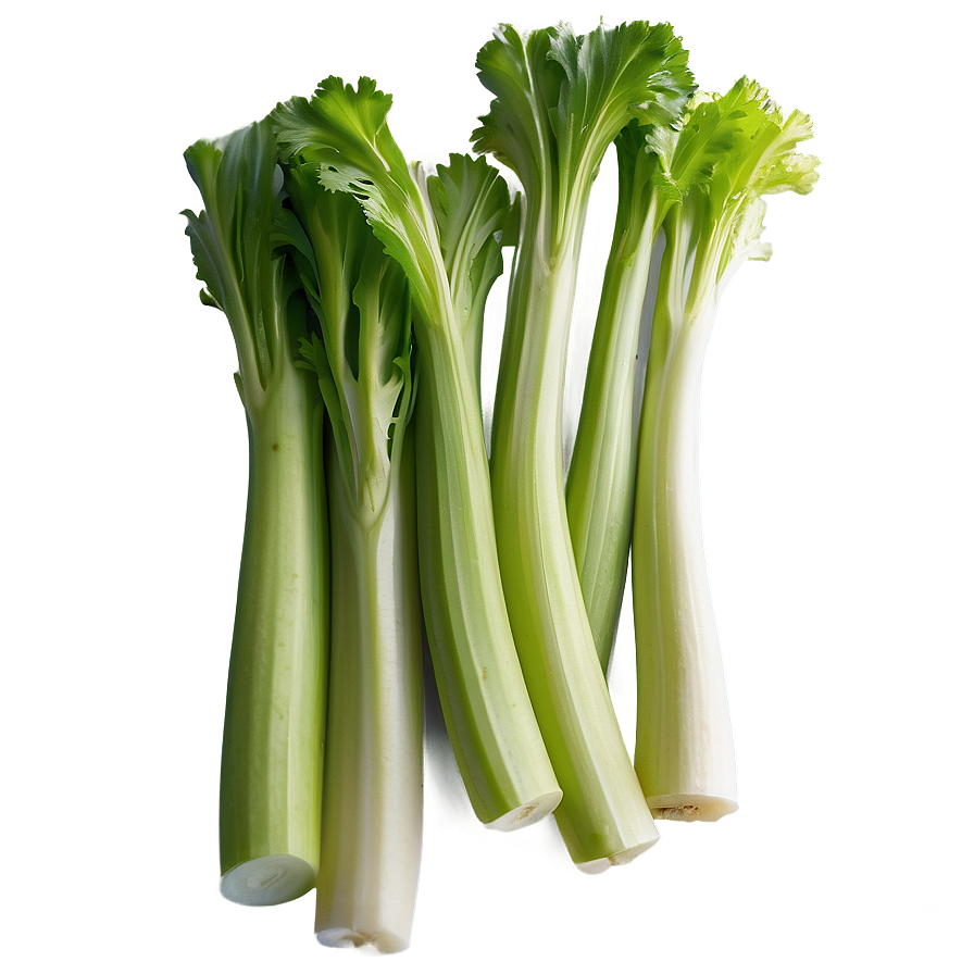 Celery For Cooking Png Hiu19 PNG Image