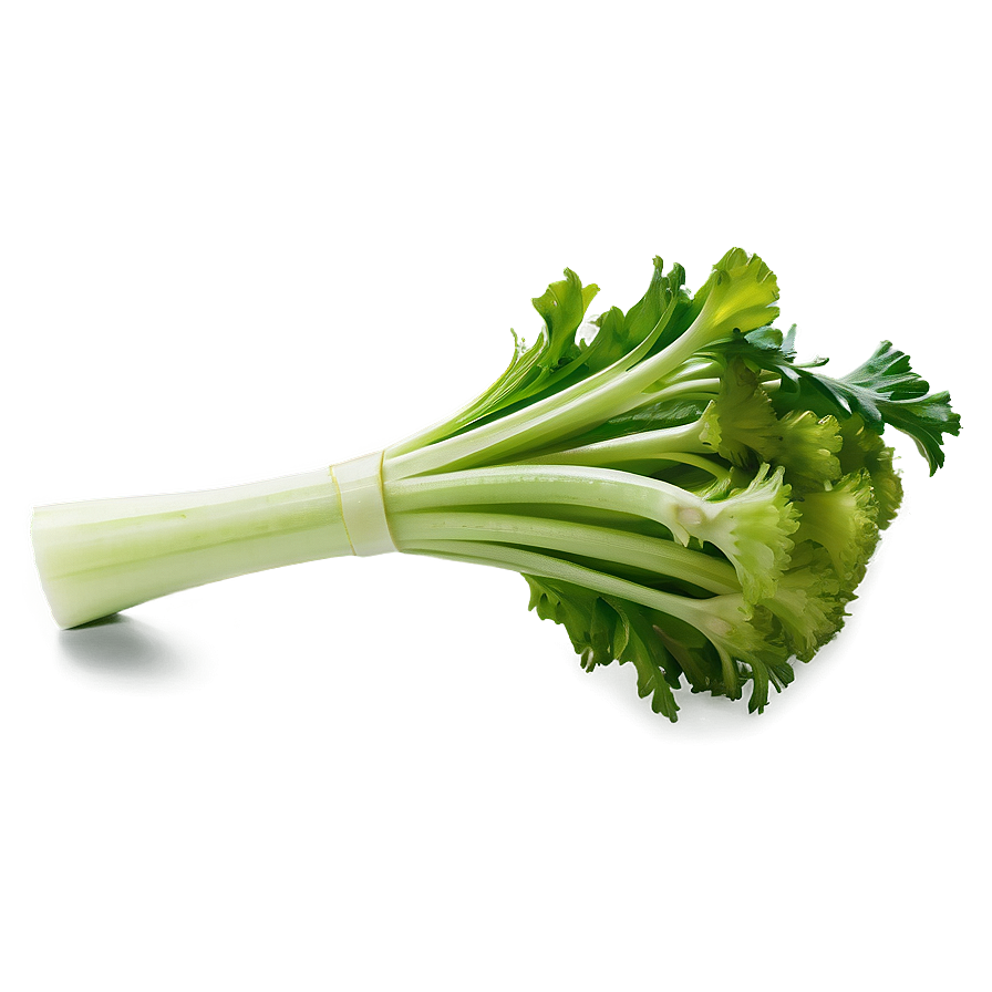 Celery For Juicing Png 84 PNG Image