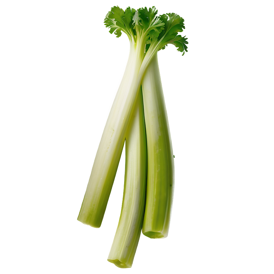 Celery For Salad Png Ugq PNG Image