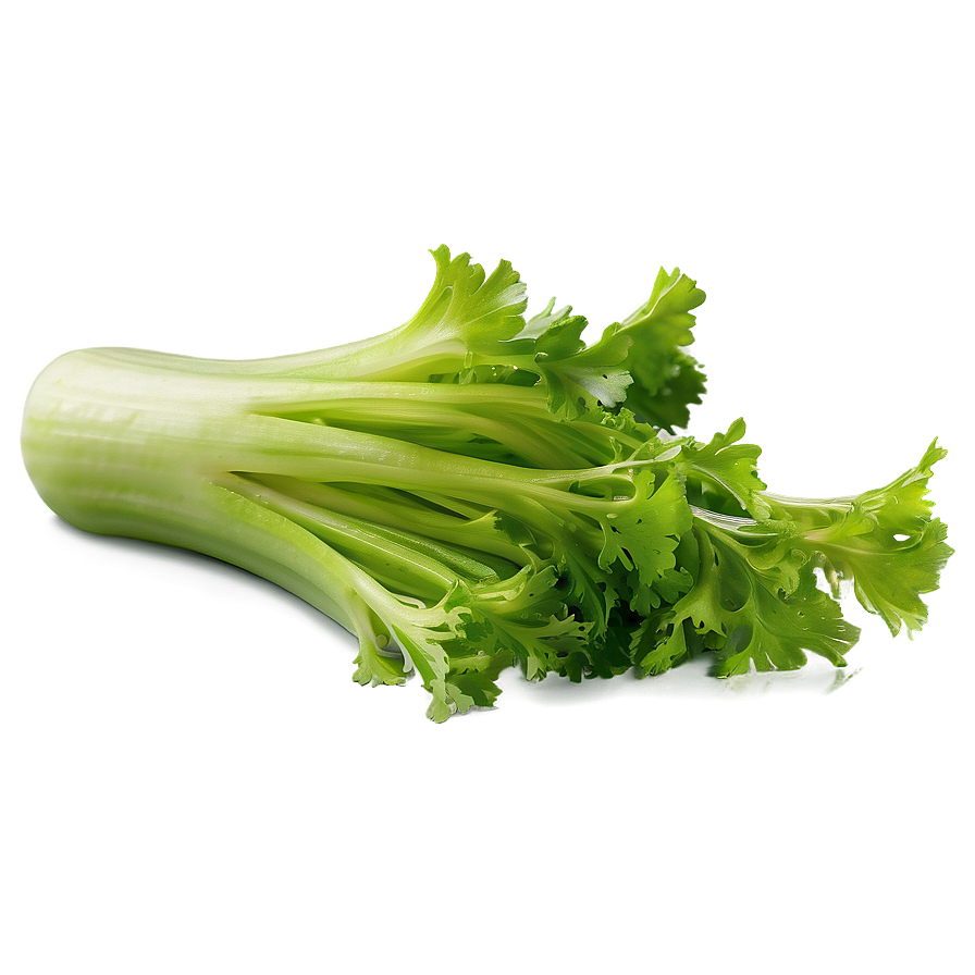 Celery Piece Png Dyb75 PNG Image