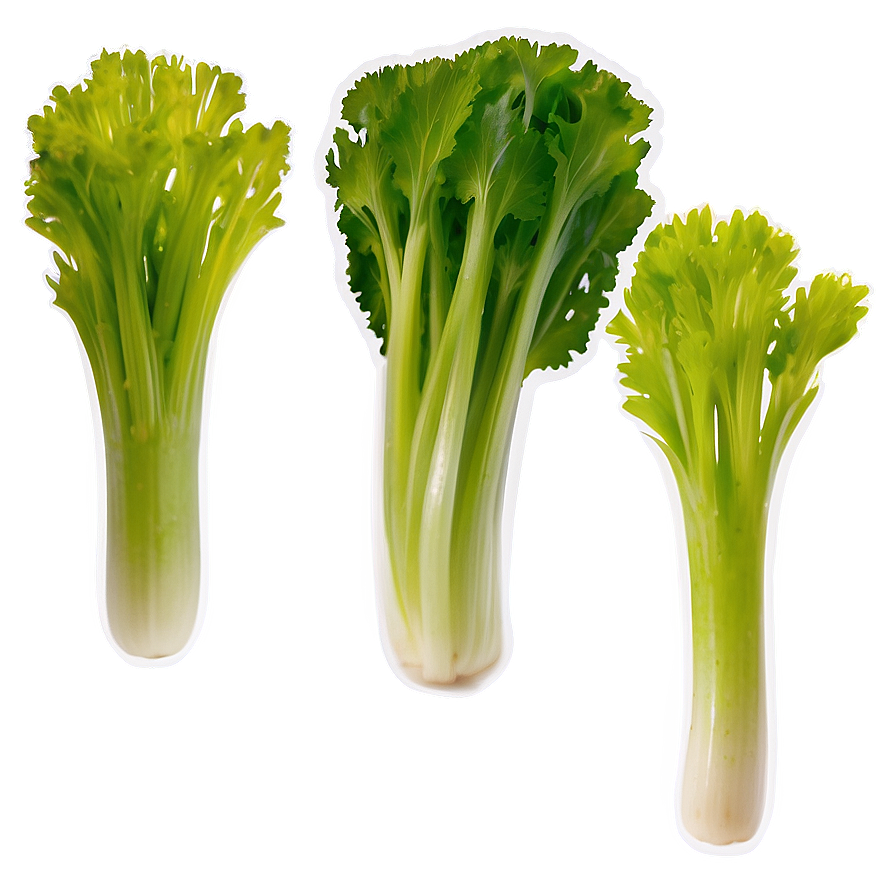 Celery Vegetable Png Tih25 PNG Image