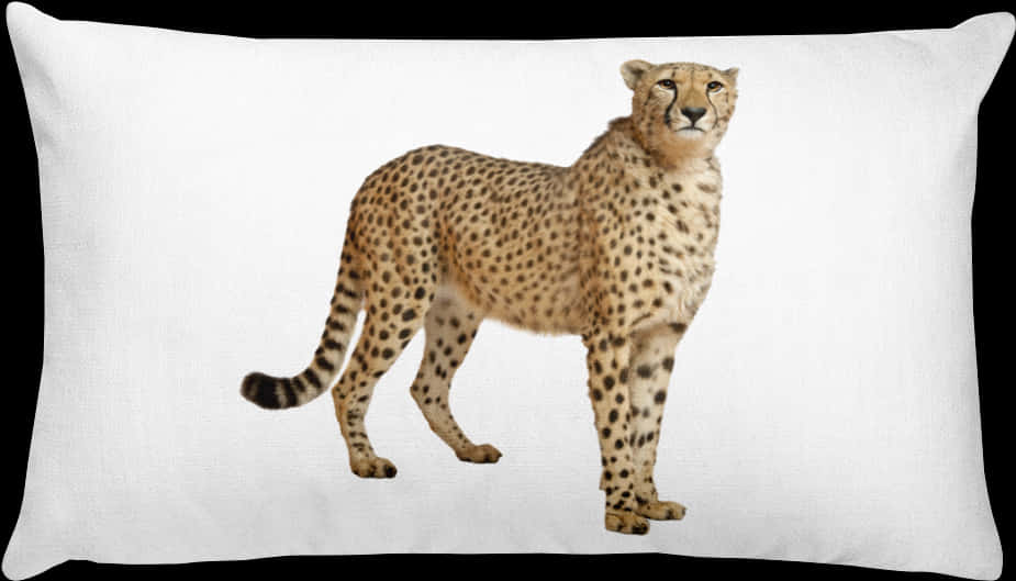 Cheetah Print Cushion Decor PNG Image