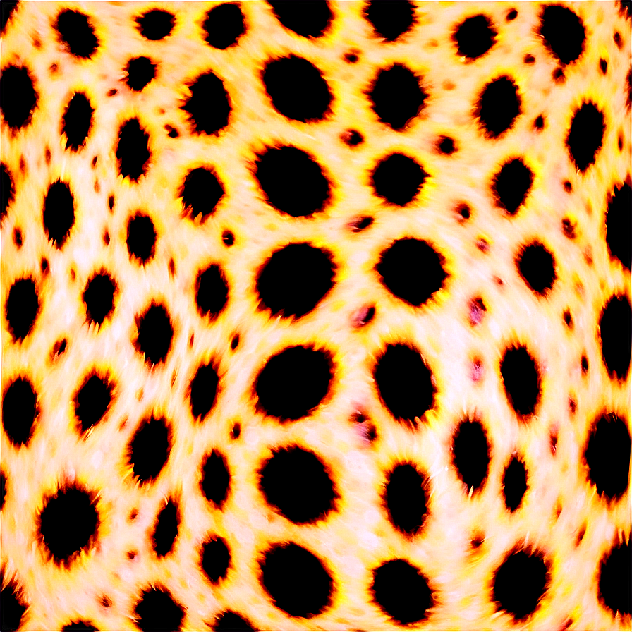 Cheetah Print For Print And Web Png Koq PNG Image