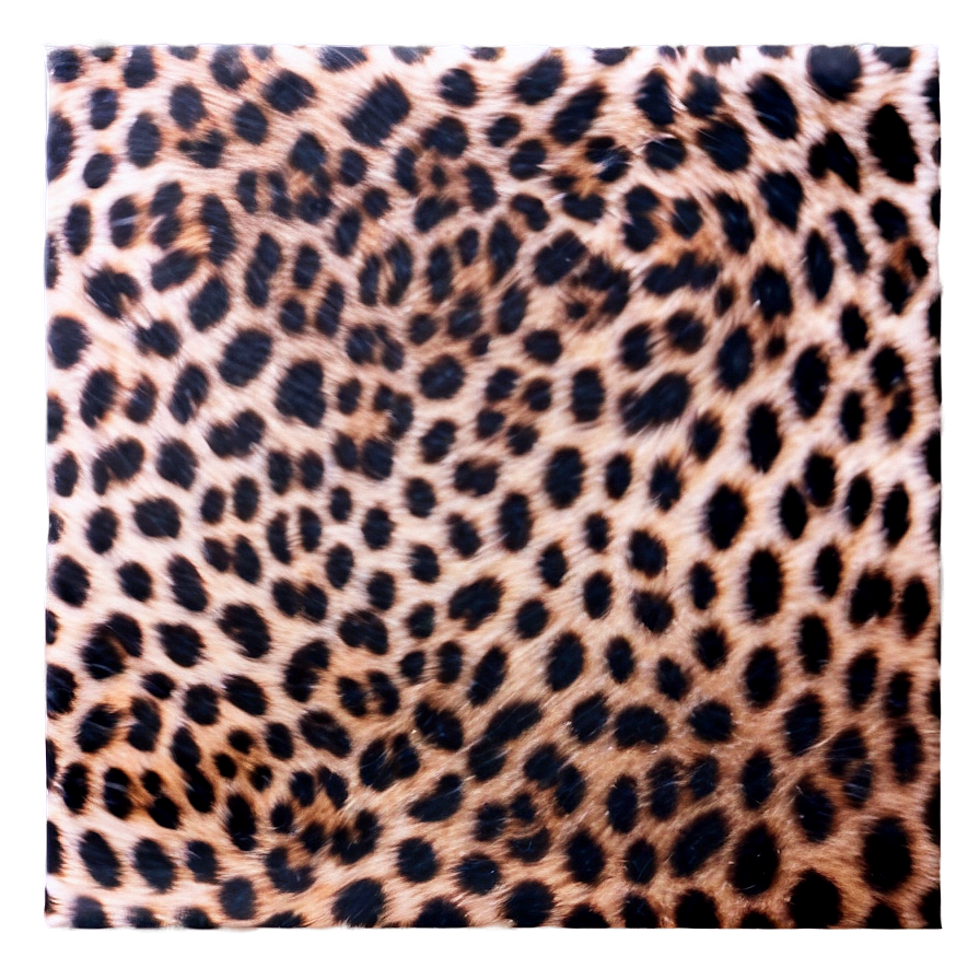 Cheetah Print Invitation Background Png Crl20 PNG Image