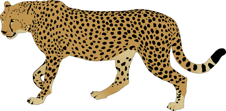 Cheetahin Stride Illustration PNG Image