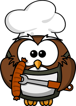 Chef Owl Cartoon Illustration PNG Image