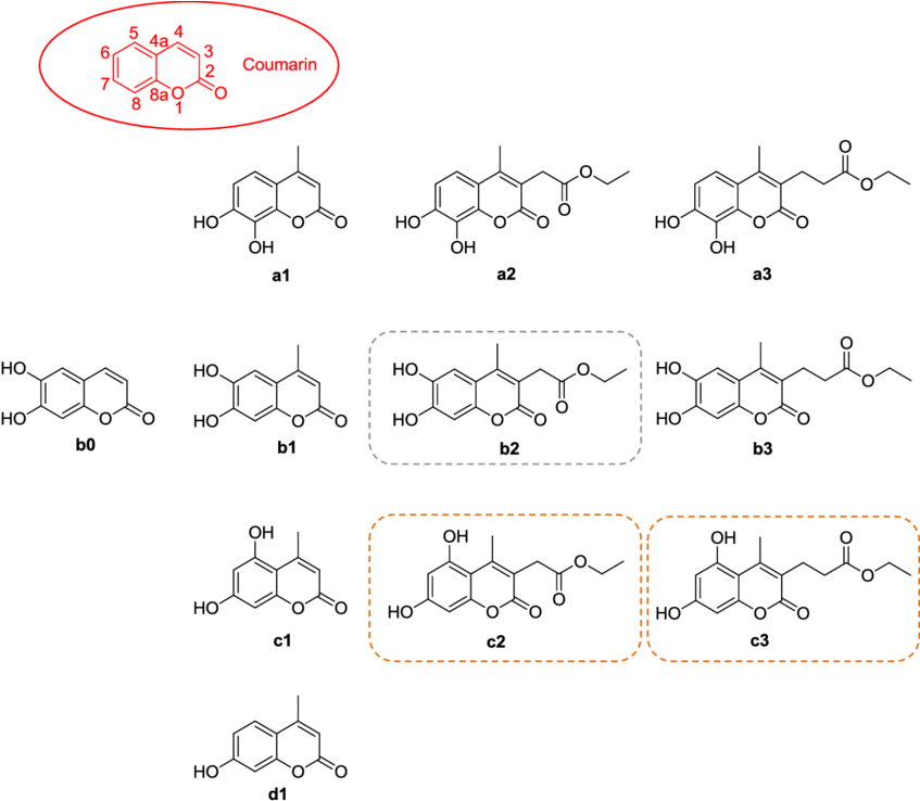 Chemical_ Structures_with_ Rounded_ Rectangles_ Highlighting PNG Image