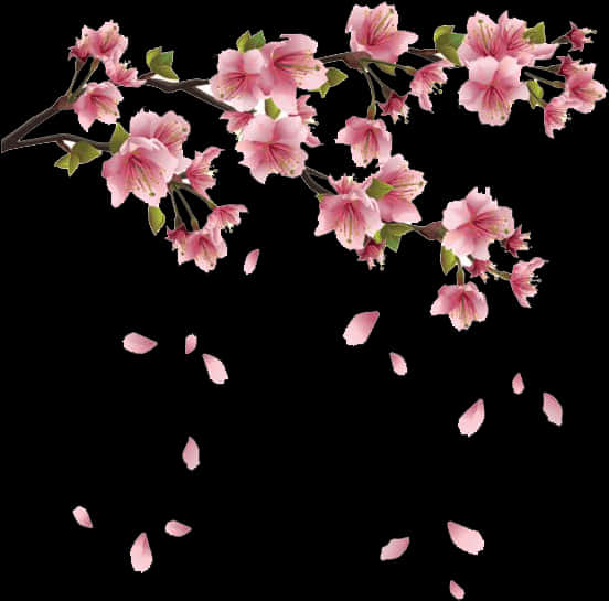 Cherry Blossom Branch Falling Petals PNG Image