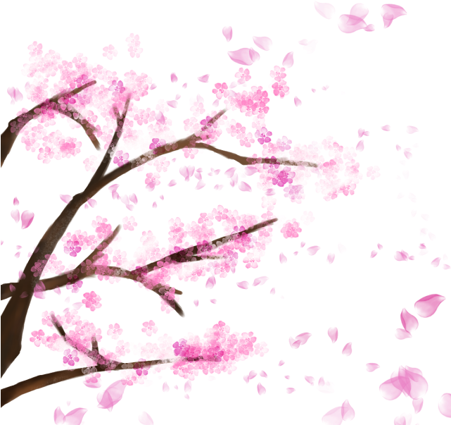 Cherry Blossom Branches Artistic Representation PNG Image