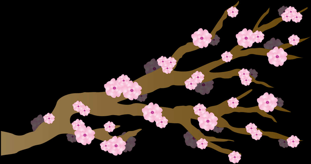 Cherry Blossom Branches Illustration PNG Image