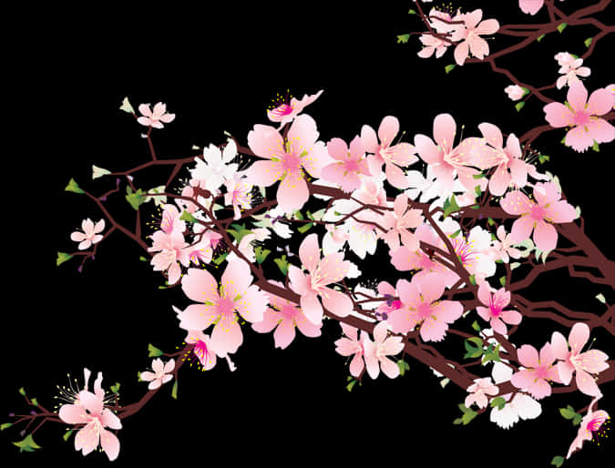 Cherry Blossom Branches Illustration PNG Image