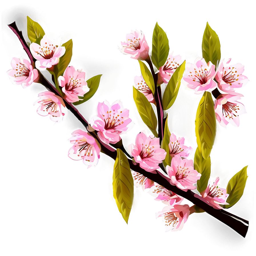 Cherry Blossom Branches Png Ash PNG Image