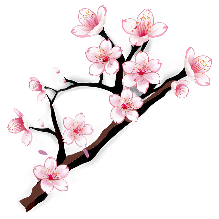 Cherry Blossom Decal Png 06272024 PNG Image