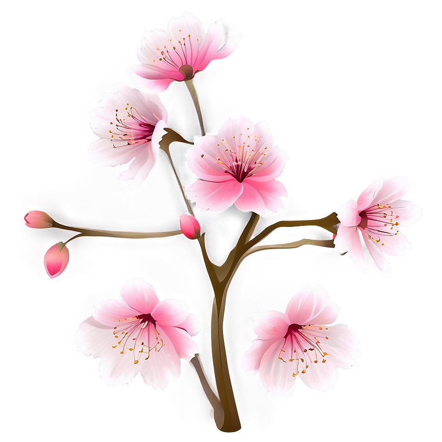 Cherry Blossom Flower Transparent Png Mhm76 PNG Image