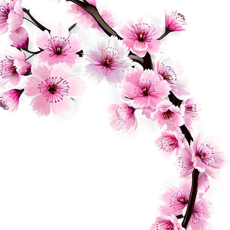 Cherry Blossom Frame Png Ydb PNG Image