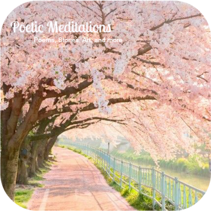 Cherry Blossom Pathway Poetic Meditations PNG Image