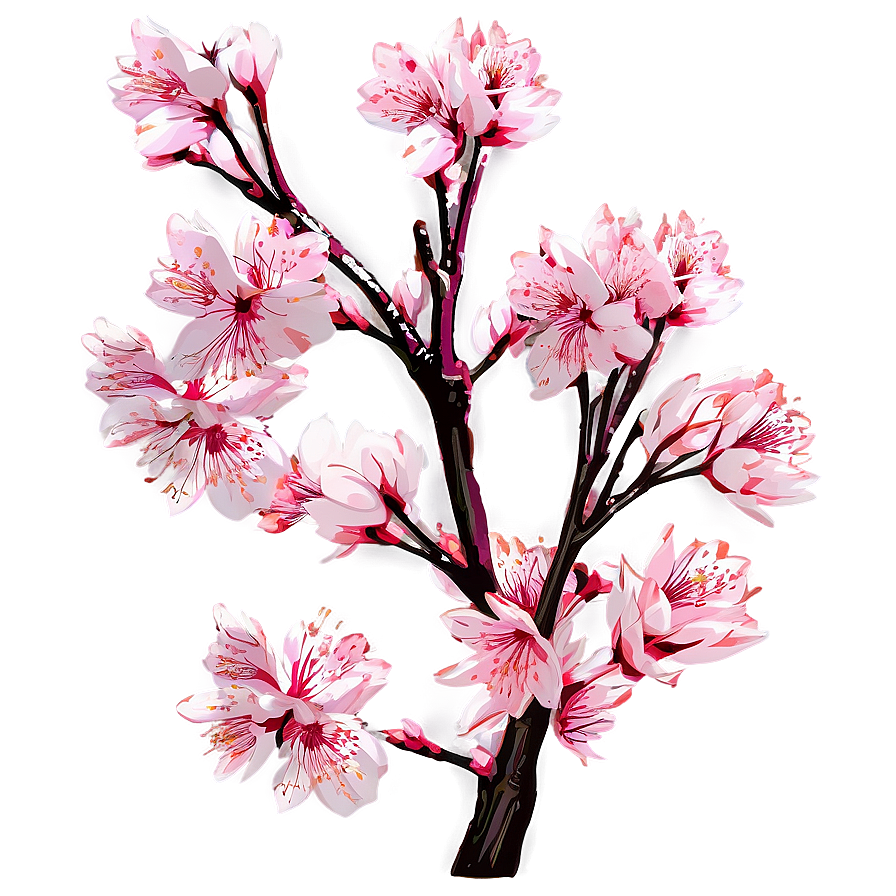 Cherry Blossom Timelapse Sequence Png Coi PNG Image