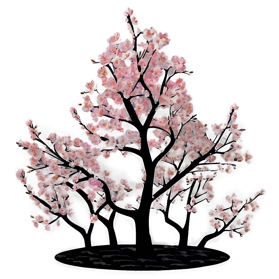 Cherry Blossom Tree Sunset Png 20 PNG Image