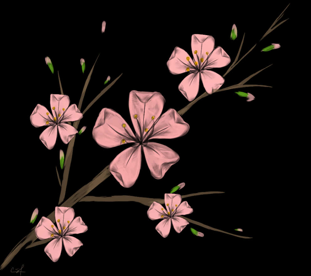 Cherry Blossoms Artistic Representation PNG Image