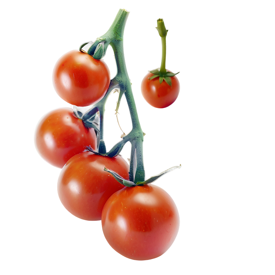 Cherry Tomato Png 83 PNG Image