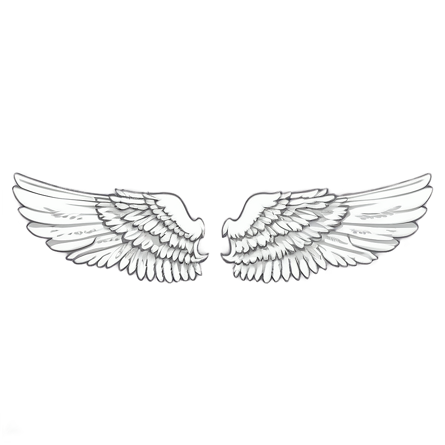 Cherubic White Wings Png Ccd65 PNG Image