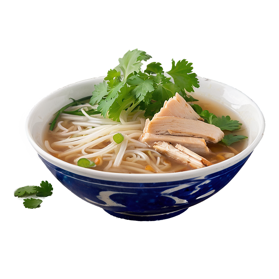 Chicken Pho Recipe Png 06202024 PNG Image