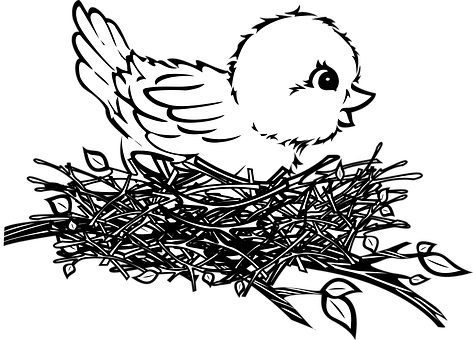 Chickin Nest Silhouette PNG Image