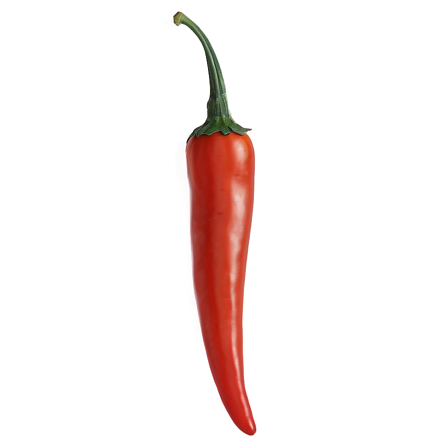 Chili Pepper Outline Png 14 PNG Image