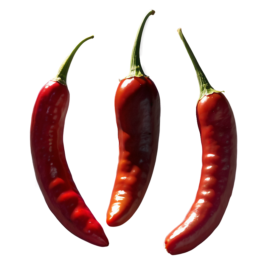 Chili Pepper Outline Png Mua PNG Image