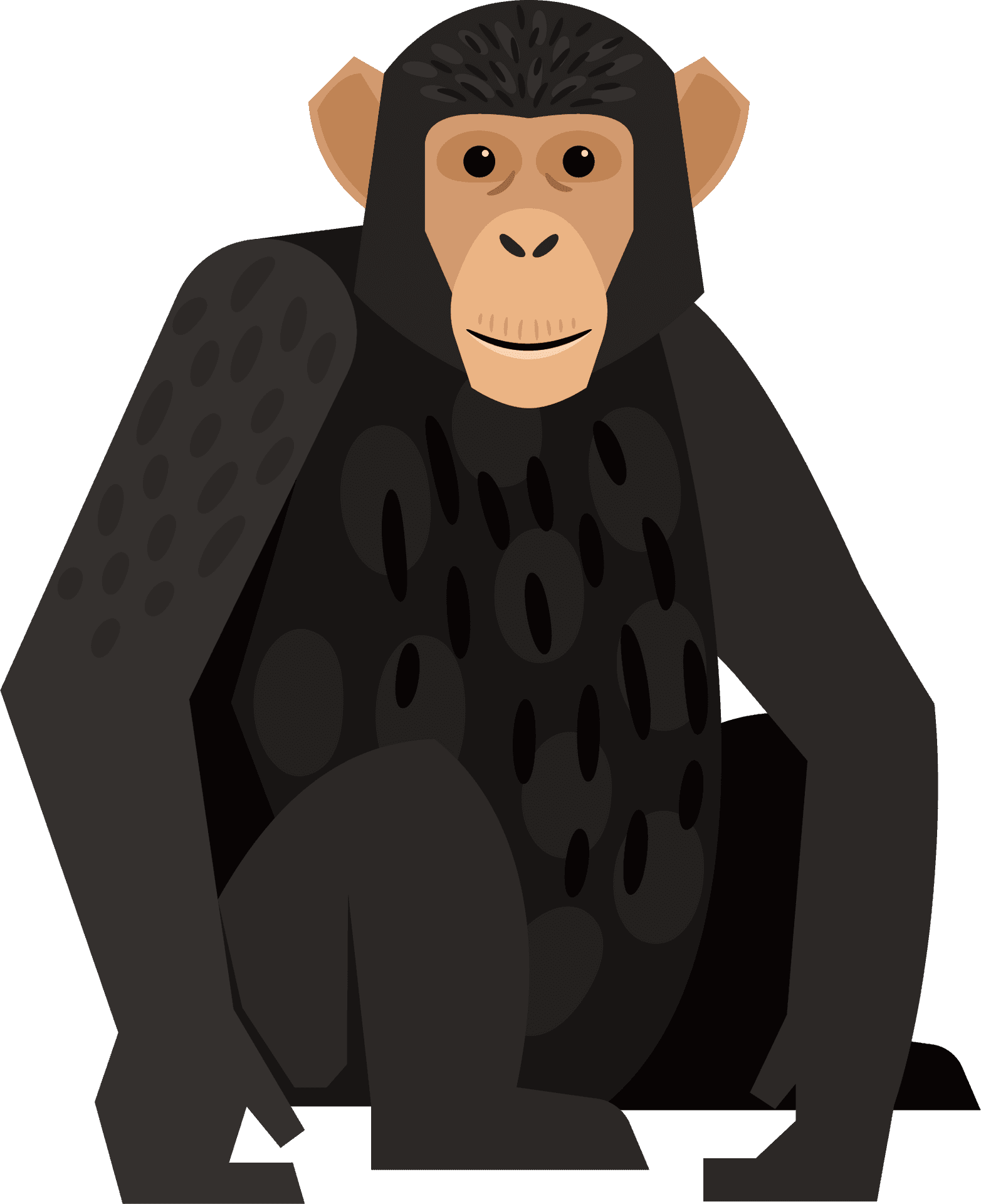 Chimpanzee Vector Illustration PNG Image