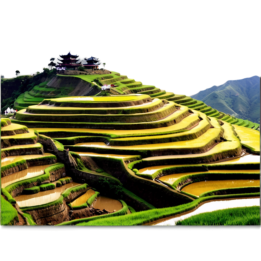 China's Rice Terrace Fields Png Pds PNG Image