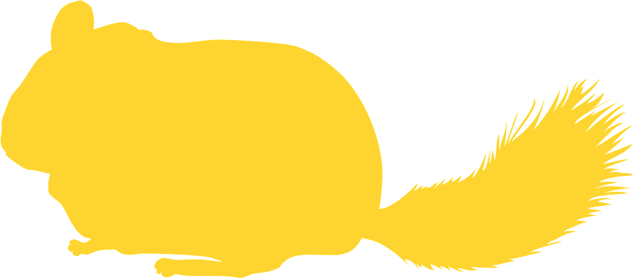 Chinchilla Silhouette Yellow PNG Image