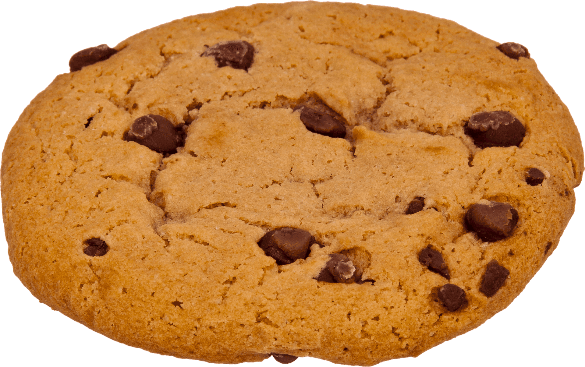 Chocolate Chip Cookie Transparent Background PNG Image