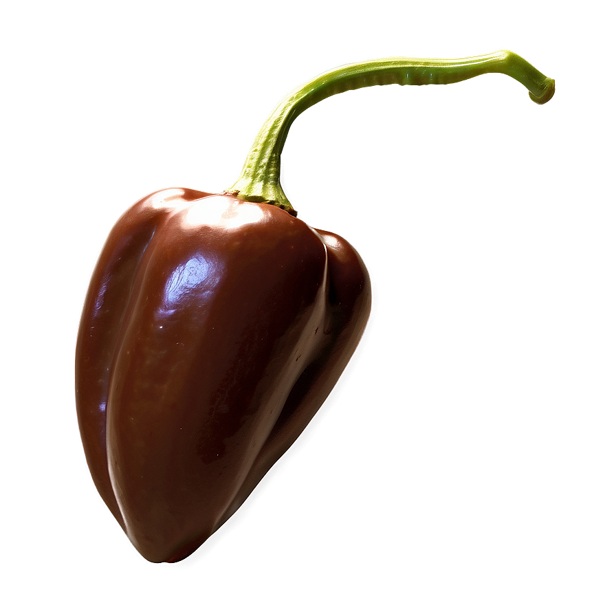 Chocolate Habanero Pepper Png Grf91 PNG Image