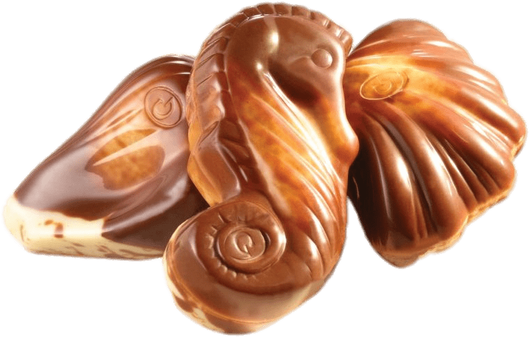 Chocolate Seashells Collection PNG Image