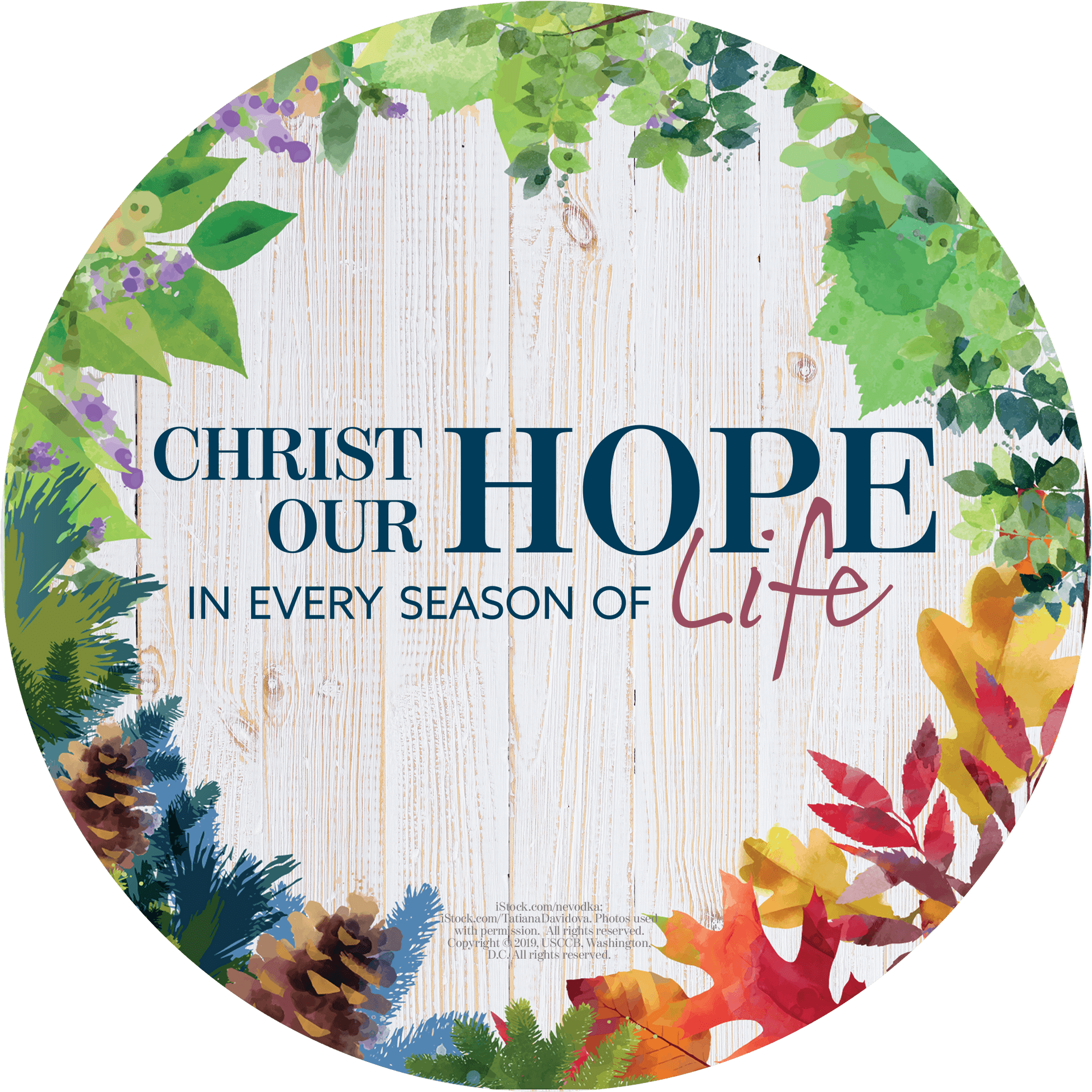 Christ Our Hope Seasonal Message PNG Image