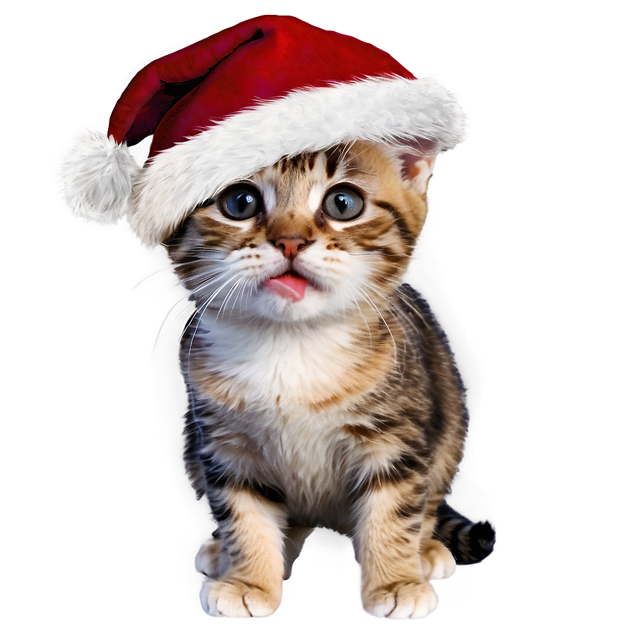 Christmas Cat Meme Png Qpv94 PNG Image