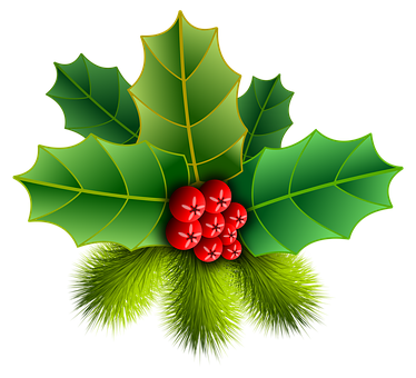 Christmas Holly Berries Illustration PNG Image