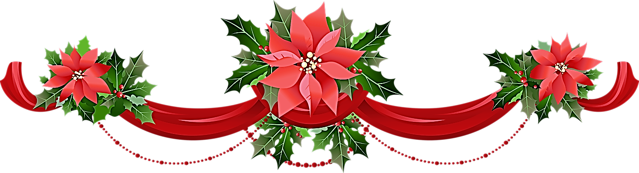 Christmas Poinsettia Decoration Banner PNG Image