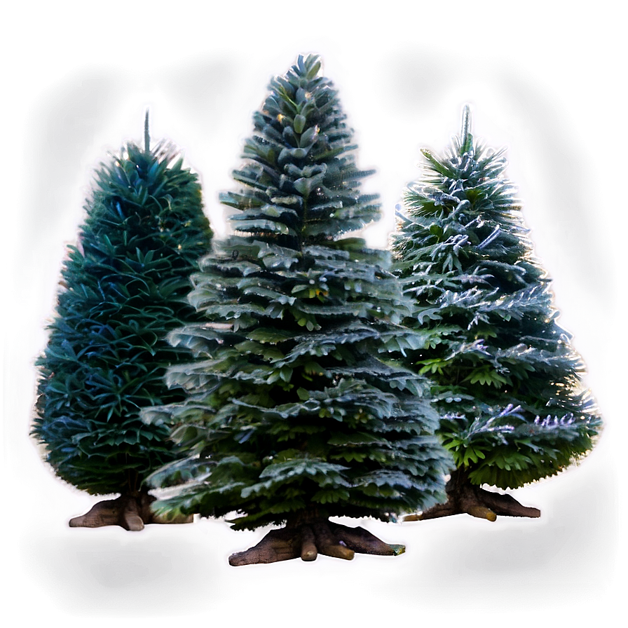 Christmas Tree Farm Png 18 PNG Image