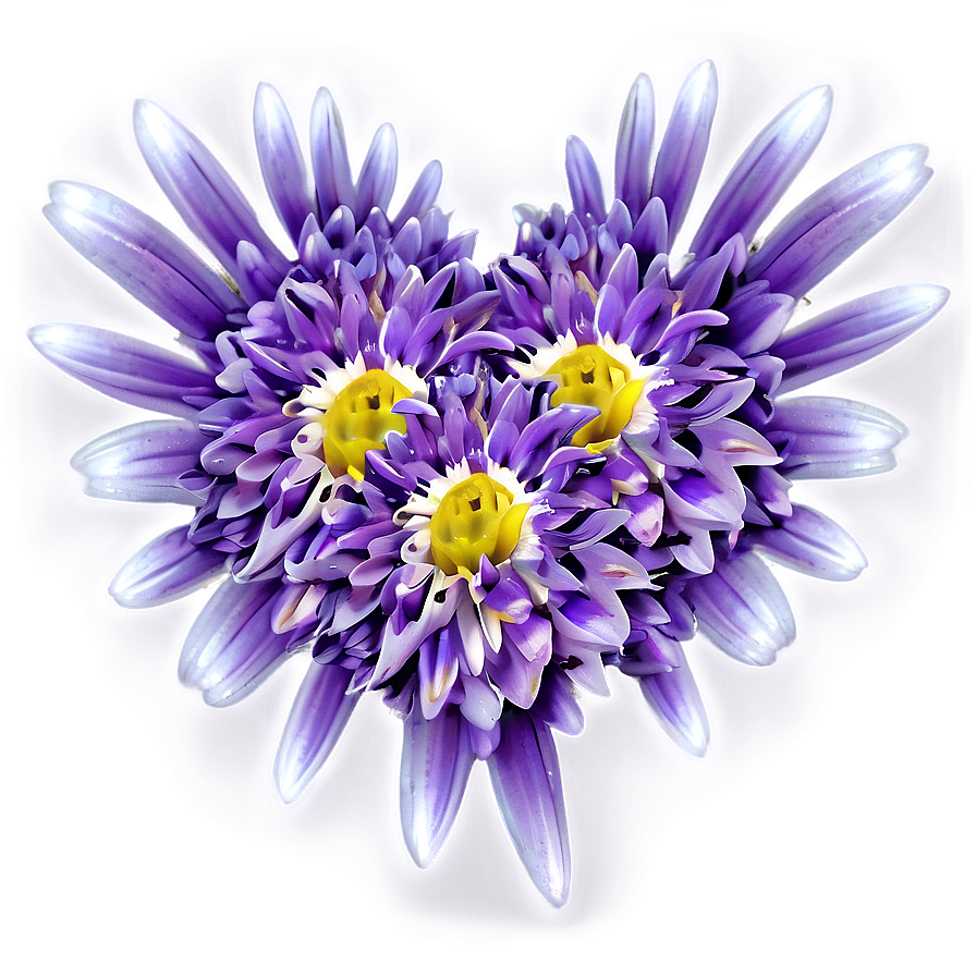 Chrysanthemum Petal Pattern Png Ihv PNG Image