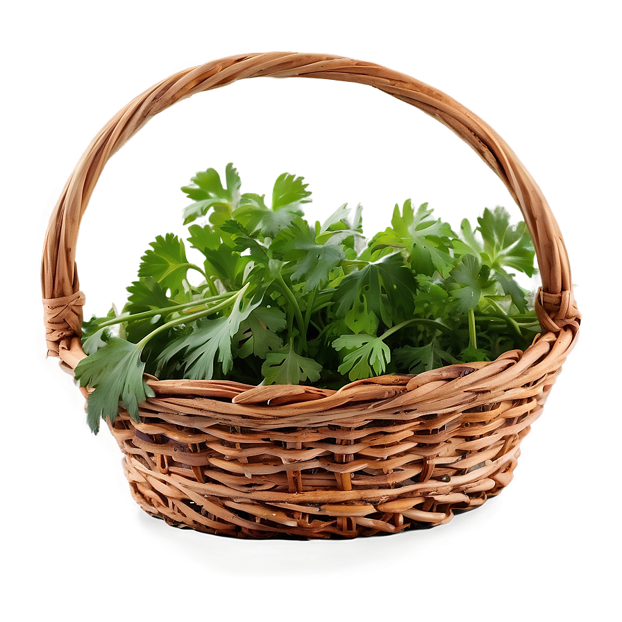 Cilantro In Basket Png Kqn72 PNG Image