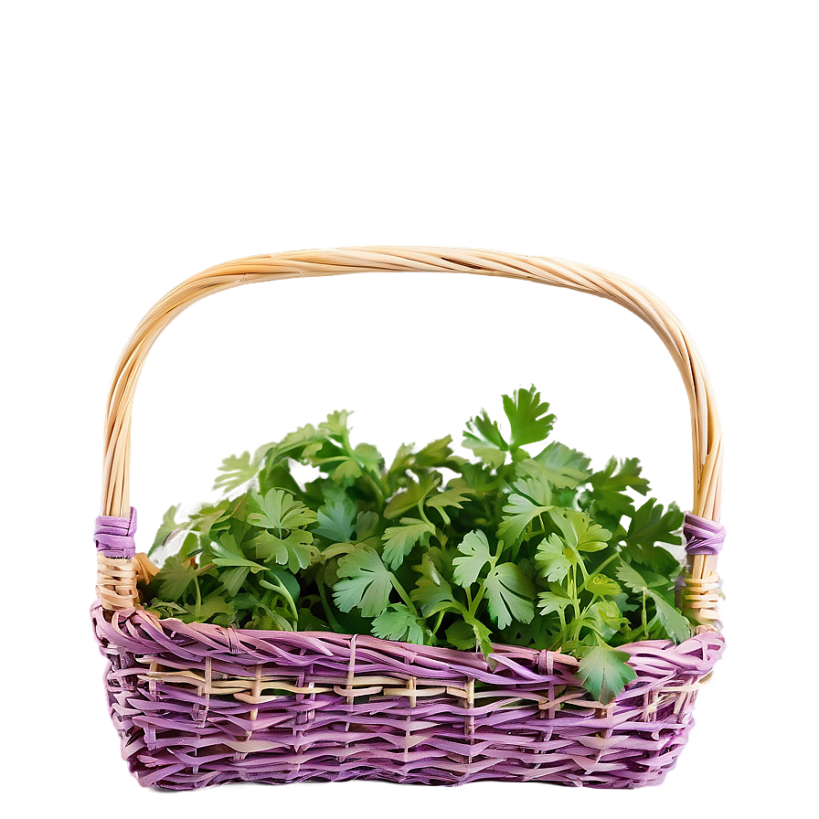 Cilantro In Basket Png Lpa PNG Image