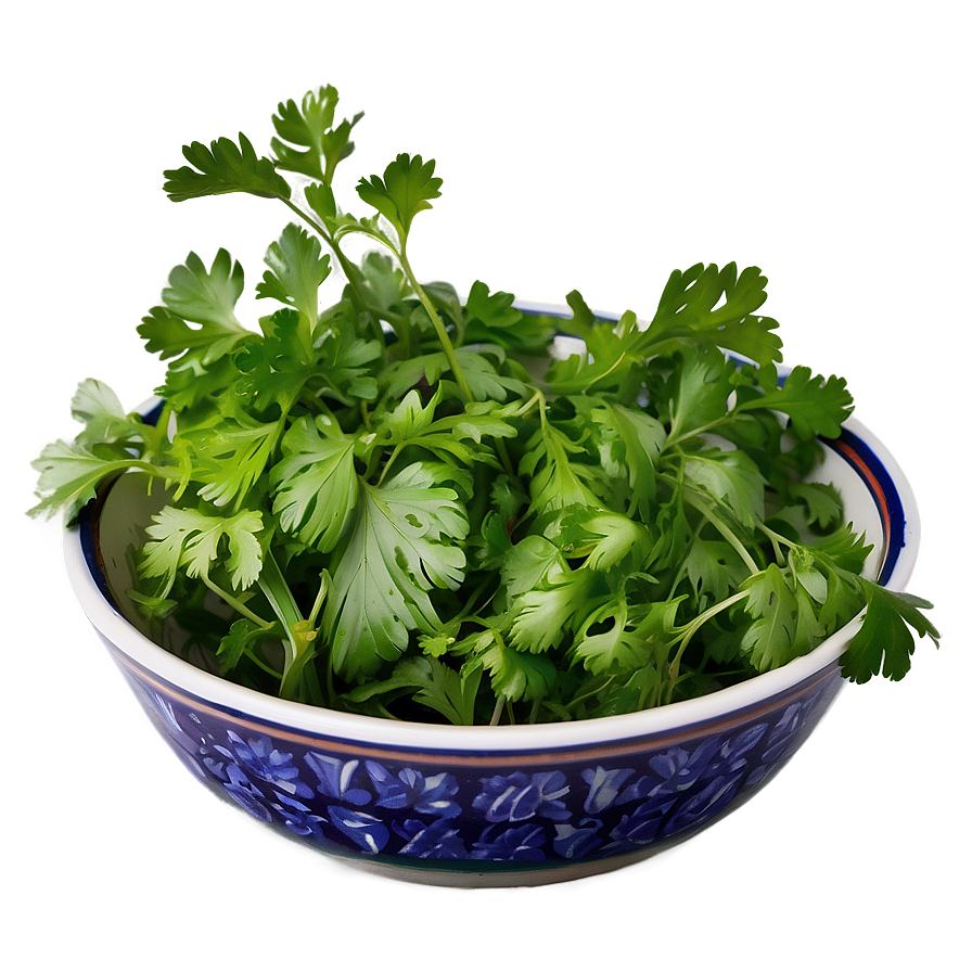 Cilantro In Bowl Png 64 PNG Image